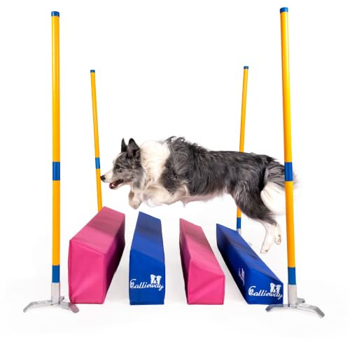 Callieway Agility Soft-Weitsprung SOSPIRI - FCI konform (blau/gelb) (inkl. 4 Ecksteher + Stangen in orangegelb)