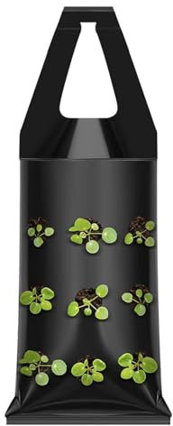 Duroecsain Borsa per piante di fragole, fragole, fioriera Grow -Bag | 9 fori Living da parete | manico fragola sacchetto per fiori verticale per parete, balcone soggiorno