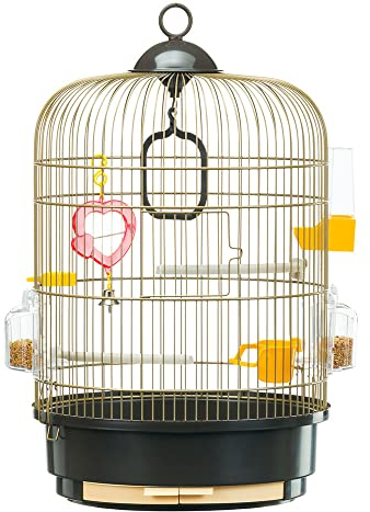 Ferplast Gabbia per Uccelli REGINA Gabbia per Canarini, Bengalini, Cocorite, in Metallo, Accessori inclusi Posatoi Mangiatoie Girevoli, 32,5 x 32,5 x h 49 cm.