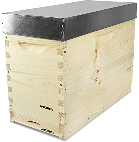 Ablegerkasten Dadant US - 5 Waben