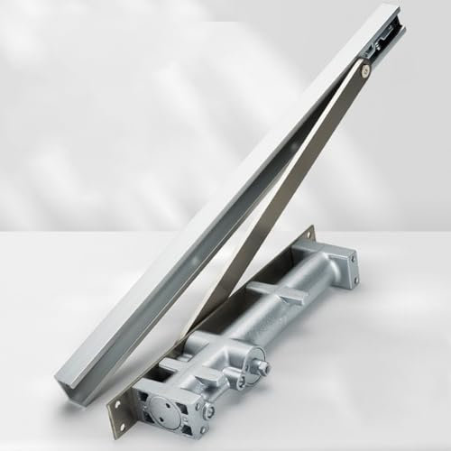 Chiudiporta idraulico, chiudiporta automatico invisibile invisibile, velocità di chiusura regolabile, per porte fino a 45 kg, argento