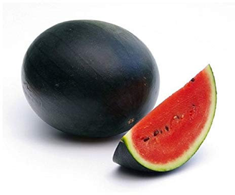 PREMIER SEEDS DIRECT Water Melon - Sugar Baby - 40 Seeds - Organic/BIO