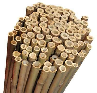 Elixir Gardens Strong Heavy Duty Professional Bamboo Plant Support Garden Canes | All lengths in stock 2, 3, 4, 5, 6, 7 & 8ft | Choose from a range of pack sizes from 10 to 250 | 4ft x 50