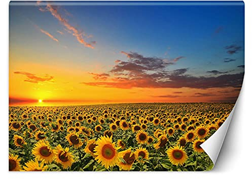 Feeby Wandtapete Fototapete Vlies Blumen Sonnenuntergang 250x175 cm Orange Modern Tapete Wohnzimmer Schlafzimmer Sonnenblumen Himmel Wolken