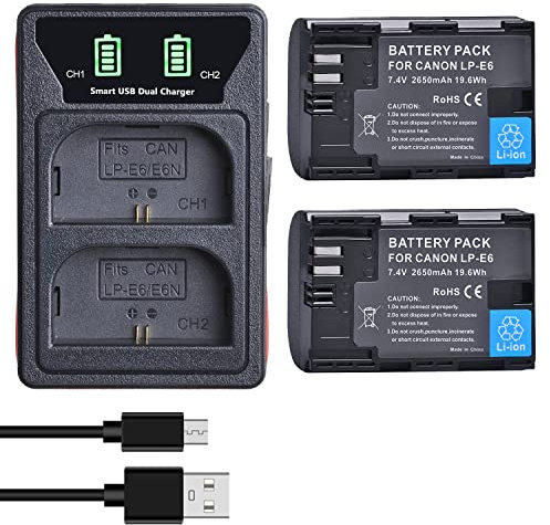 DuraPro 2X LP-E6 Battery + LED Built-in USB Charger with Type C Port for Canon LP-E6, LP-E6N and Canon EOS 5D Mark II/III, 5DS, 5DS R, 6D, 7D, 70D, 80D, XC10, Blackmagic 4K/6K Cameras