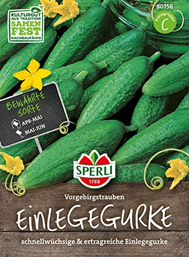80756 Sperli Premium Gurken Samen Vorgebirgstraube | Einlegegurke Samen | Vorgebirgstraube Gurke | Freilandgurke | Gewächshausgurke | Gurken Samen Freiland | Gurkensamen | Freilandgurken Samen