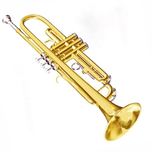 Trompeteninstrument B-Trompete Dreiton-Blasinstrument Anfänger Standard Messing Edelstahl