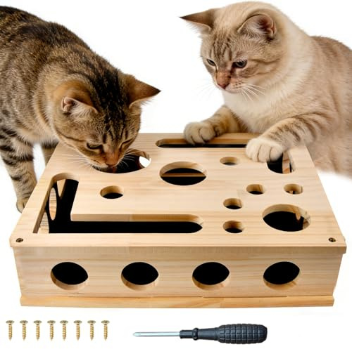 Katzenkratzpuzzle Anreicherungsbox, Katzen Kratzbrett | Kratzpappe für Katzen, Katzenspielzeug Interaktives mit Sandpapier Interaktive Spielzeugkiste für Indoor Katzen Kätzchen