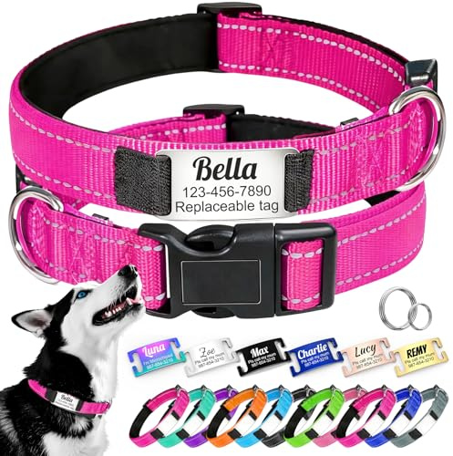Personalisierbares Hundehalsband – verstellbar und reflektierend, aus robustem Nylon mit Lasergravur, Name, Adresse, Telefon, geeignet für kleine, mittlere und große Hunde und Katzen