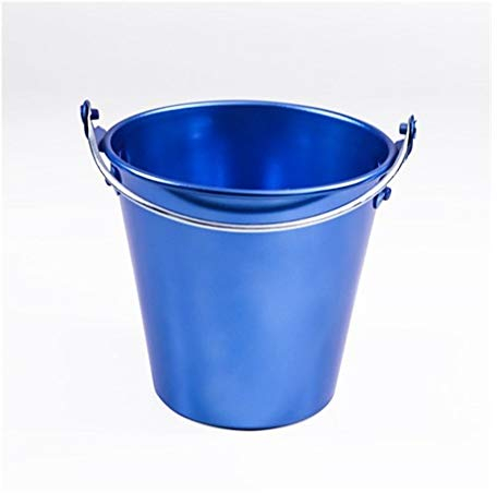 FKJLUN Seau à glace créatif en acier inoxydable plaqué pour vin, poulet, pommes de terre, bar, fête