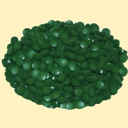Bio Chlorella pyrenoidosa Tabletten 250mg 250g