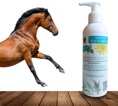Gel arnica rafraichissant pour cheval, tendons, muscles, articulations - Motus Equilibrium - aux 6 plantes. Massages, préparation du cheval