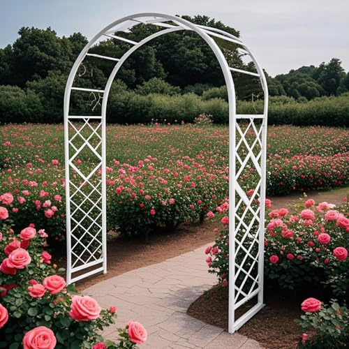Treillis d'arche de jardin pour plantes grimpantes, support en métal durable pour vignes, pergola d'extérieur pour décoration de jardin, structure de support de plantes robuste