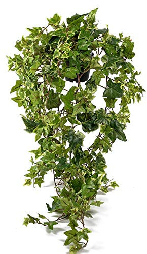 Artificielles.com - Lierre retombant artificiel panaché en pot, L 85 cm, D 32 cm
