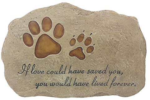 JSYS Pet pietra commemorativa per cane o gatto per esterni da giardino, cortile, o prato.