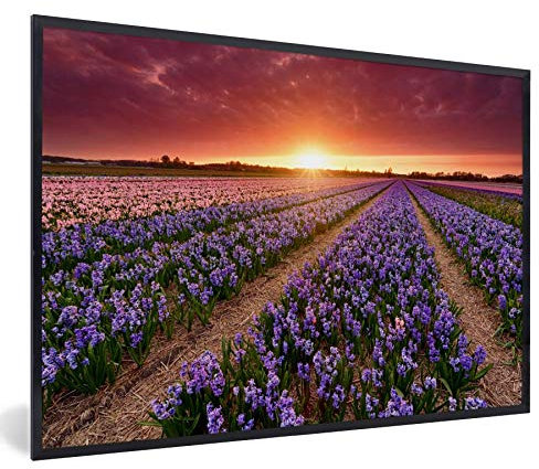 MuchoWow Poster Bilder Wanddeko Deko Wohnzimmer 90x60 cm Hyazinthen in der niederländischen Landschaft