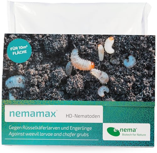 Nematoden gegen Dickmaulrüssler | nemamax® | 5 Mio. für 10 m² | effektiv ab 8°C Bodentemperatur | Nematoden von e-nema