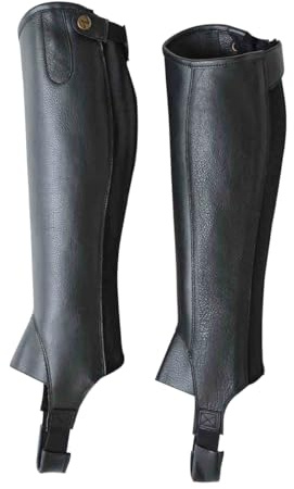 Busse