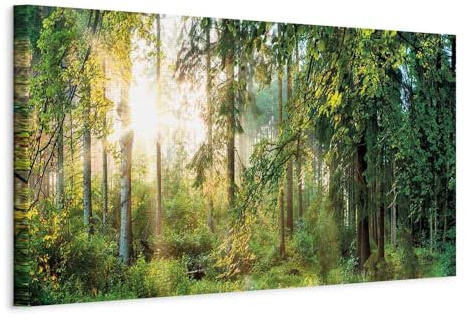 murando - Akustikbild Bilder Akustikschaum Hochleistungsschallabsorber Schallschutz Leinwand 1 tlg Wandbild Raumakustik Schalldämmung Landschaft Natur Wald Bäume c-C-0032-b-b
