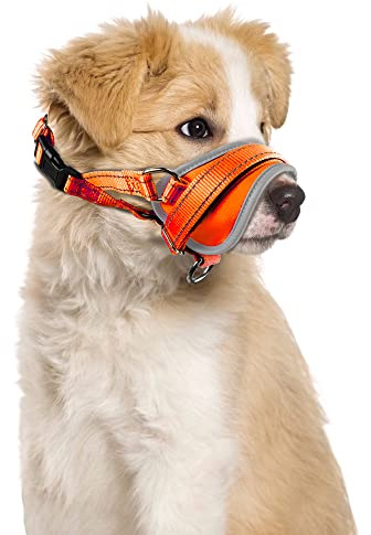 Nasjac Maulkorb für Hunde, Verstellbare Weicher Nylon maulkorb um Beißen zu verhindern Anti-Bellen Stoppen Sie das Kauen Essen Atmungsaktiv Hundemundschutz für kleine Hunde