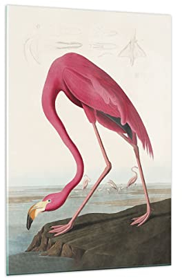 ARTTOR Bilder auf Glas 70x100cm Glasbild Flamingo Vogel Exotik Groß Wanddeko Bild im Glas Schlafzimmer Küche Deko Wandbilder Dekoration Wohnzimmer Modern Wall Decor Wand Kunstdruck Art GPA70x100-5137