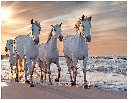 SHEGZHUC Diamond Painting Tiere Pferde 50 x 40 cm – weißes Pferd am Strand bei Sonnenuntergang – Landschaft am Meer und Wildtiere