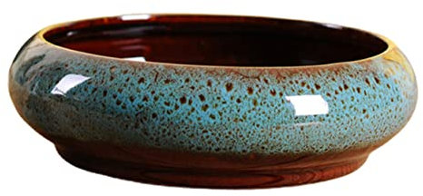 UKCOCO 1 Pièce Pot de Fleurs Hydroponique Céramique Jardinière Décorative pour Plantes et Jonquilles Design Moderne et Élégant Pot et Durable Drainage Décoration