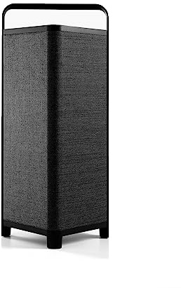 Escape P6 Bluetooth Outdoor/Garten Lautsprecher (IPX4 wetterfest, kabellos, tragbar, 16h Akkulaufzeit, 60 Watt) Schwarz