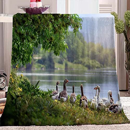 3D Kuscheldecke 180x200 Gans Warme Decke Seeblick Grün Flanell Fleecedecke Tiere Auf Dem Bauernhof Flauschig Weich Wohndecke für Sofadecke Couchdecke Sofaüberwurf Bettüberwurf