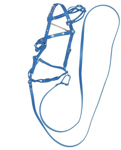 Juego de cabestro para caballo y punto de guía: cabestro de caballo ajustable de alta calidad con punto de guía resistente | Cabestro de nailon duradero para entrenamiento, caminar y uso en establo