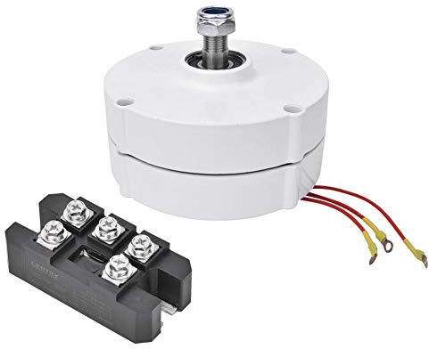 Walfront Windkraftanlage 100W Synchronmotor 12V Permanentmagnet Generator 3 Phasen NE100 für Haust Industriellen Einsatz (Generator + Rectifier)
