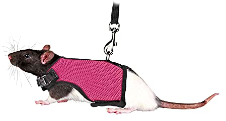 TRIXIE Softgeschirr mit 1,20 m Leine - für Kleintiere - Bauchumfang stufenlos verstellbar zwischen 12 - 18 cm – Klett- und Schnappverschluss - verschiedene Farben - zufällige Auswahl - 61511