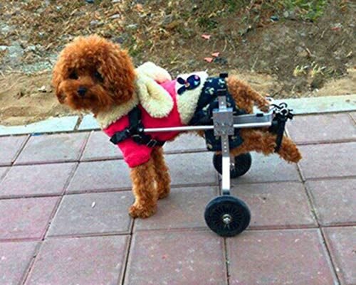 Cora Pet Rollstuhl Rollwagen für klein Hunde Katze Hase, Hinterbein/Hintere Füße, Hunderollstuhl Gehhilfe Hundegehilfe Hunderollwagen, Dog Wheelchair für Haustier Gewicht innerhalb von 11 Pfund