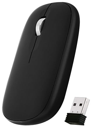 T'nB Color - Souris sans Fil, Double Connexion | Bluetooth et Dongle USB-A, Connexion 2 en 1, Design Compact, Noir
