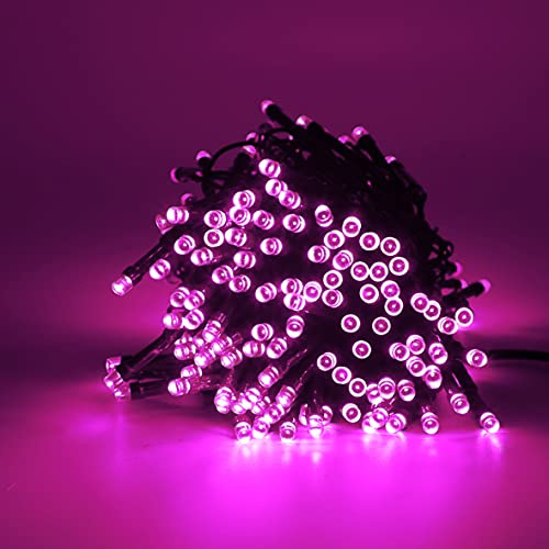 The Christmas Workshop 75030 100 Pink LED Chaser Christmas Lights/Indoor or Outdoor Fairy Lights / 6.9 Metres / 8 Light Modes/Great for Christmas, Weddings & Gardens
