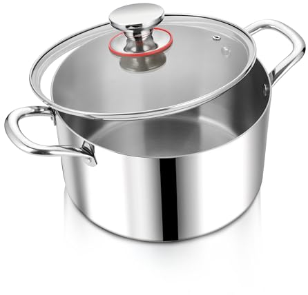 Herogo Olla de acero inoxidable para inducción con tapa de cristal, diámetro de 24 cm, 5,6 l, olla para sopa de carne, olla para fideos, olla para espaguetis, para cocinar, saludable y sin
