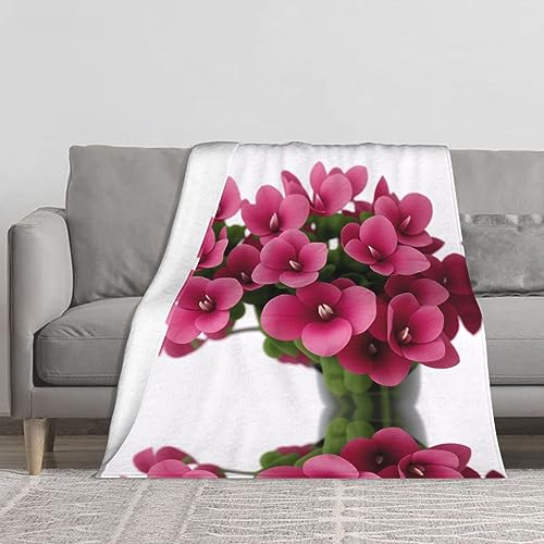 Rote Alpenveilchen bedruckte Mikrofaser-Decke, Sofa-Überwurf, Flanell, flauschig, weich, warm, Überwurf, Decken für Bett, Couch, Reisen, 152,4 x 127 cm