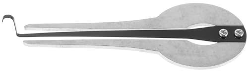 Mikinona Traditionelle Maultrommel aus Metall Silber Leicht zu Spielen für Anfänger Ethnisches Musikinstrument für Musikaufführungen
