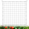 Tatxmalv Filet Plante 120 x 120cm, Maille de Plante Élastique, avec 4 Crochets, Filet Plante Grimpante pour Plantes, Légumes, Fruits, Fleurs - Treillis pour Jardins et Serres