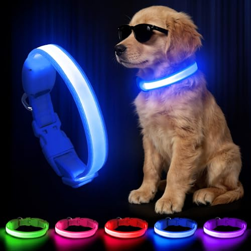 Kpuplol Leuchthalsband Hund, Hundehalsband Leuchtend Aufladbar für Nachts | Wasserdichtes LED Hundegeschirr Leuchtend, Einstellbare Größe 2 Blinkende Lichter