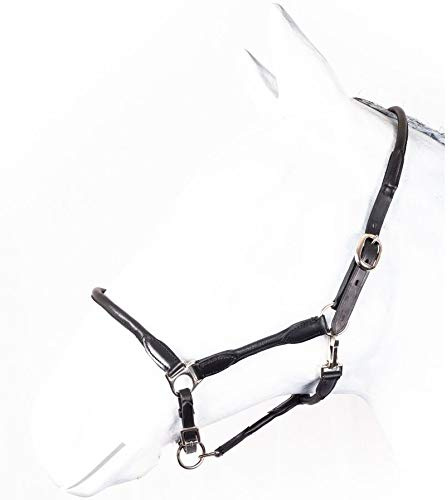 RL24 by HKM - Lederhalfter rundgenäht Basicline – Schwarz |