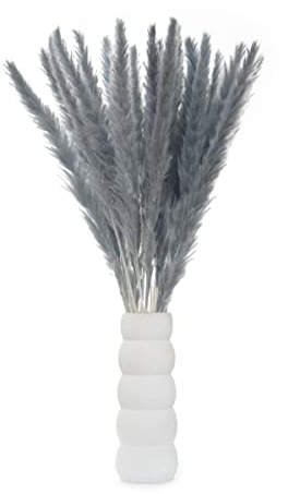 30 Stück Pampasgras grau Deko Trockenblumen künstlich Pampas Dekoration Skandi-Deko fluffig Wedel Hochzeit Wohnzimmer Bad Home Hausdeko Tischdeko Vase Eyecatcher