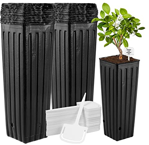 YARNOW 60 Pcs Deep Plant Pots, 29.5cm Tall Seedling Pots with 60 Labels for Nursery Tree Planting, Indoor Outdoor Plastic Garden Planter for Flower Fruit Sapling, Drainage Holes