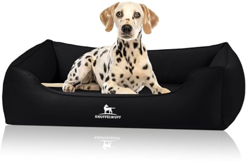 Knuffelwuff orthopädisches Hundebett Oliver, XXL - Schwarz | Easy Clean Wildlederoptik | Memory Foam | wasserabweisend waschbar | gelenkschonend robust für kleine bis große Hunde