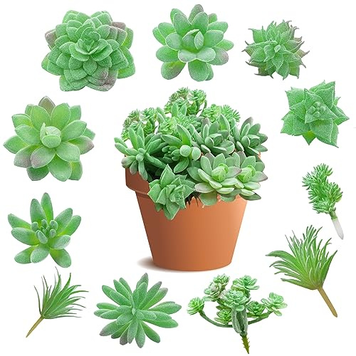 Molyorch 11 Piezas Una Suculenta Sintética, Suculentas Artificiales Verdes Surtidas, Suculenta Plástico Plantas, Mini Suculenta Artificial, para Mesa Comedor, Oficina, Paisaje Miniatura Bricolaje