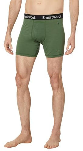 Smartwool Men's Merino Boxer Brief Boxed, Breathable Merino Wool Briefs for Everyday - Fern Green - Medium