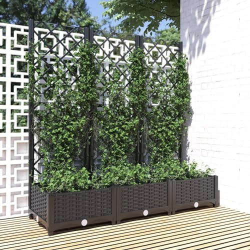 SECOLI Blumenkasten mit Rankgitter Pflanzkübel Spalier Hochbeet Gartenspalier in Schwarz - 120 x 40 x 121.5 cm - Rattan