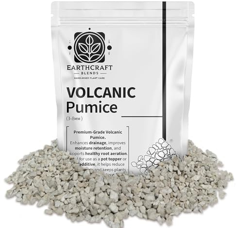 Volcanic Pumice for Plants – Natural Plant Pot Topper to Stop Fungus Gnats, Improve Drainage & Decorate Soil – Ideal for Cacti, Succulents, Bonsai & Houseplants (1 Litre Resealable Bag)