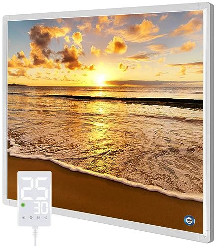 Hocosyme Infrarotheizung Bild 300 Watt, Infrarotheizung Wandmontage mit Thermostat,Wochentimer - Elektroheizung mit Überhitzungsschutz - TÜV - PA.