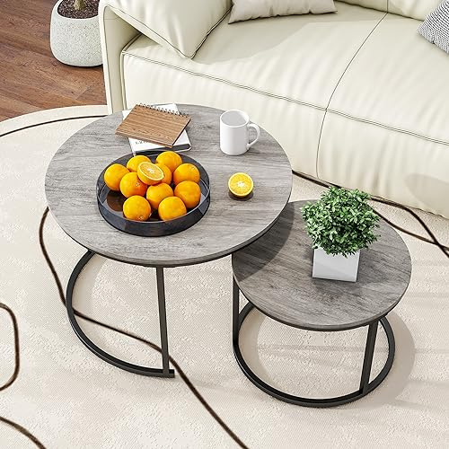 HOJINLINERO Runt soffbord set med 2, bordskabel, soffbord för vardagsrum, soffbord i trä med förvaring och metallram, modern sidosoffa boett tebord vardagsrum, grått | Vardagsrumsbord, kapslingsbord robust metallram och träbord, lätt att montera, sidobord för vardagsrum, grå